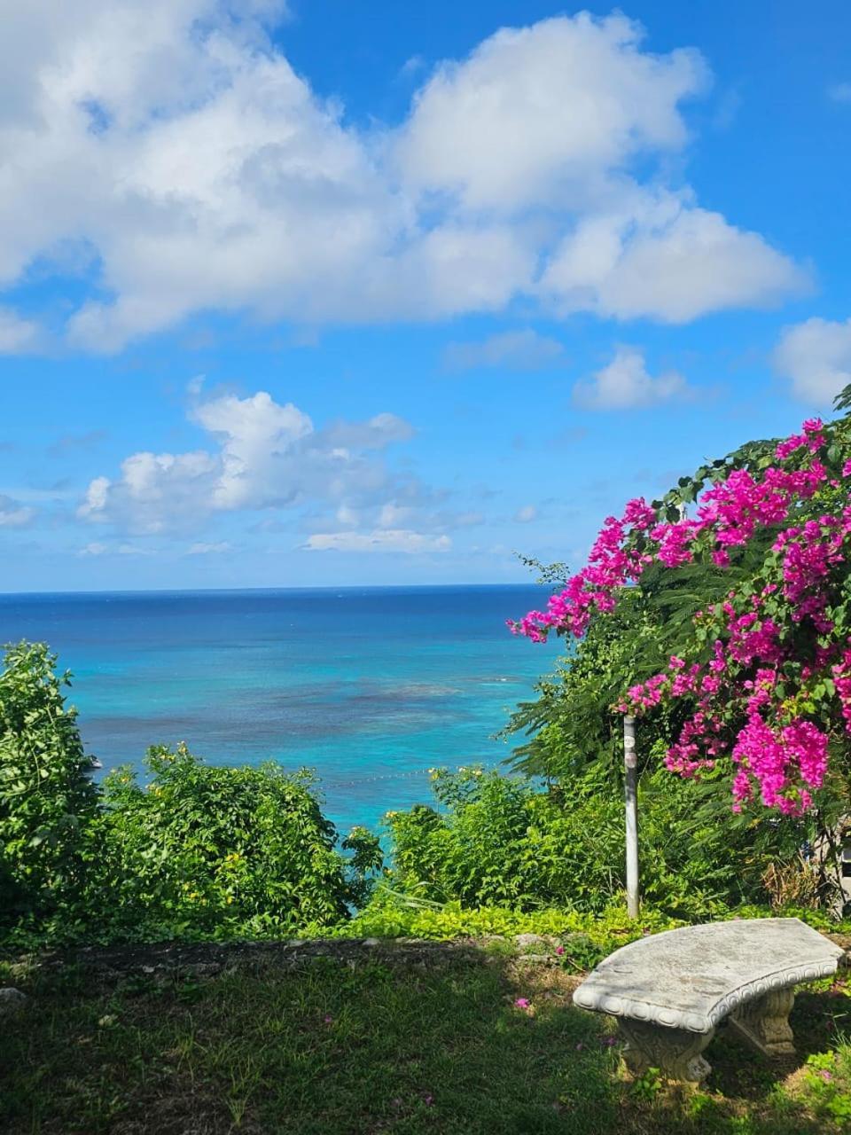 Montego Bay Club Apartments Kültér fotó